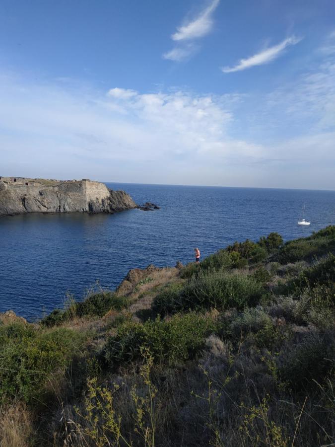 Apartament Port Heaven, A Deux Pas Du Port, Grand Balcon Port Vendres Zewnętrze zdjęcie